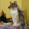 Отзыв от Лилия Дегтярева